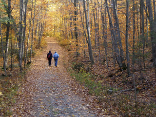 Fototapeta premium september walk in quebec