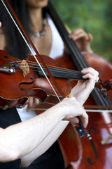 violin player playing music for a wedding or event