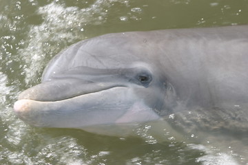 Fototapeta premium another view