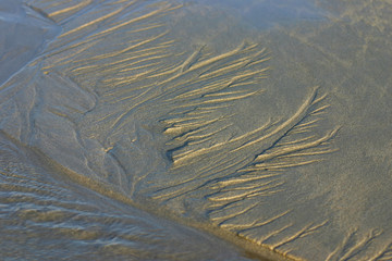 small tidal flows on a sandy beach