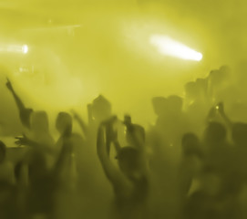 concert audience
