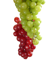 grapes