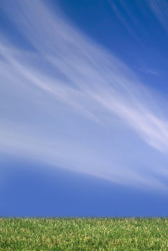 grass and blue sky with clouds