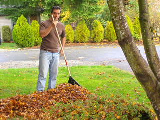 homeowner raking autumn leaves