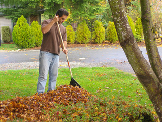 man raking leaves