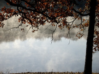 fall mist on lake