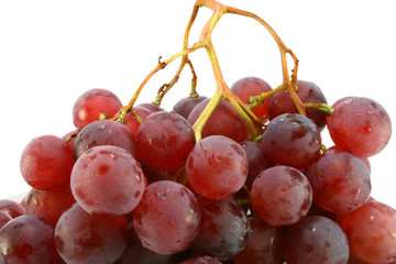 grape hanging