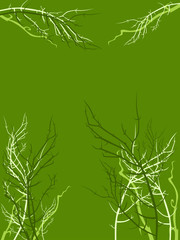 tree branches background