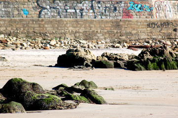 rocky beach