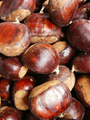 chestnuts detail