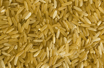 rice background