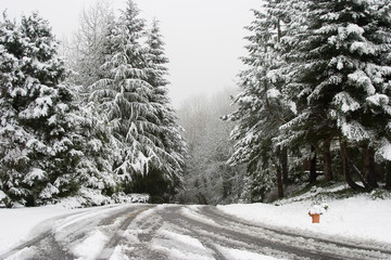 snow covered road