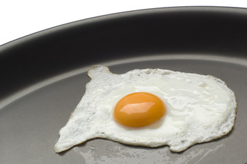egg