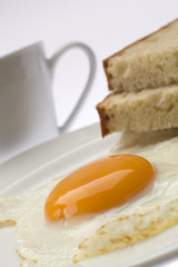 Fototapeta premium egg