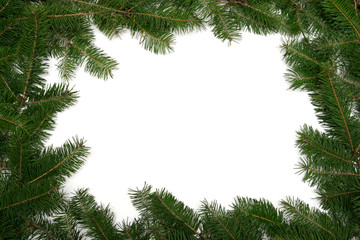 christmas tree frame