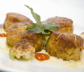 scallops