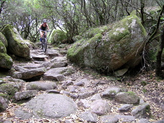 mountainbiken