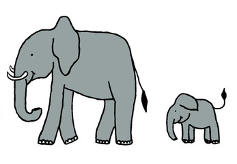 Fototapeta premium elephants