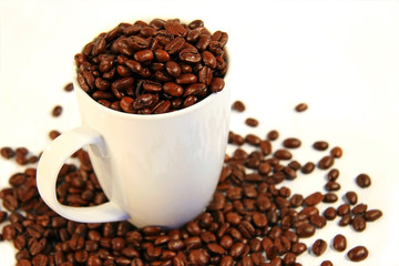 cup of java beans