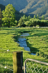little stream near pelorus bridge.