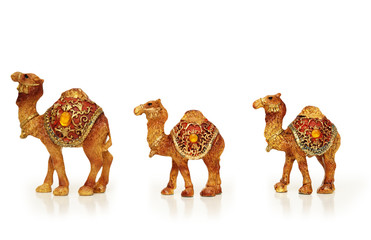 caravan of camels isolated on white