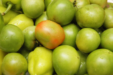 green tomatoes at the market stall