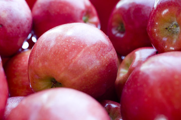 applause for the apples