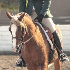 pony28