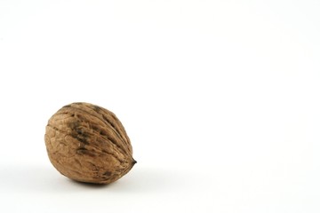 walnut