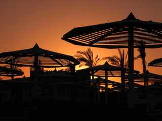 bloody sunset with beach umbrellas and palms