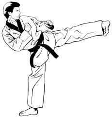 olympic taekwondo side kick