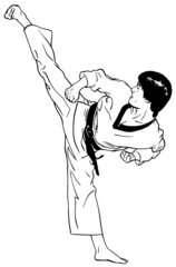 high, perfect side kick (taekwondo)