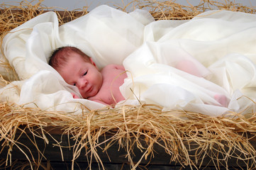 jesus in a manger