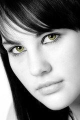 Fototapeta premium cat's eyes