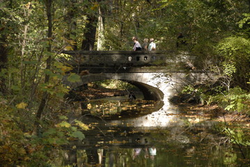 herbst im englischen garten