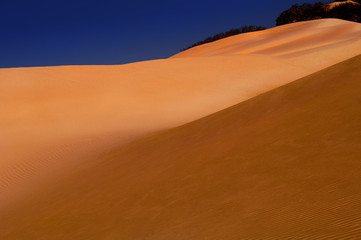 oceana sand dunes