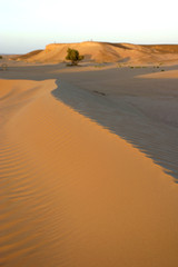 Fototapeta na wymiar désert marocain