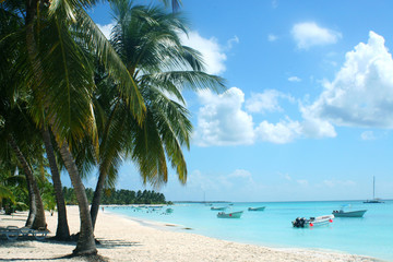 Fototapeta na wymiar palm trees and boats on tropical island