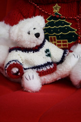 christmas teddy