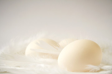 Fototapeta na wymiar eggs and feathers