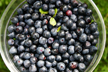 blueberries