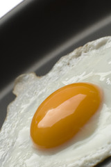 egg