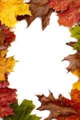 autumn leaves frame
