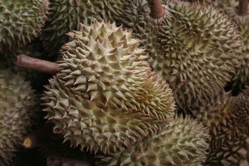 Fototapeta na wymiar Durian
