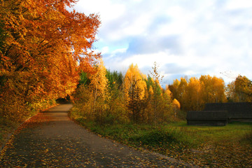 Naklejka premium road in autumn landscape