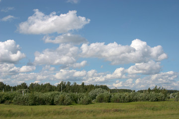 Fototapeta na wymiar country landscape.