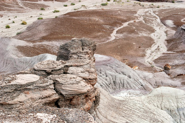 painted desert