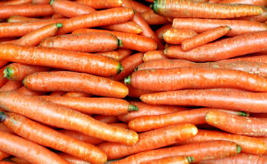 a lot of carrot