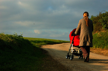 poussette dans les champs