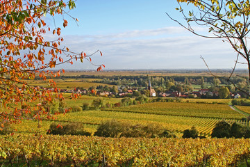 goldene pfalz